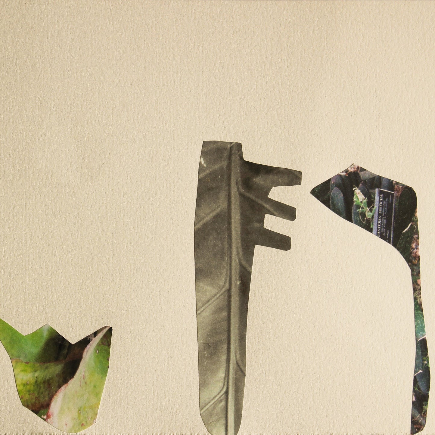 Kikuchi Maiko『sanctuary』Collage Artwork (Signed on the Back)